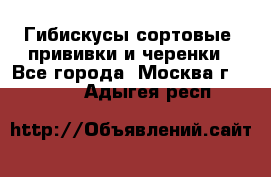 Гибискусы сортовые, прививки и черенки - Все города, Москва г.  »    . Адыгея респ.